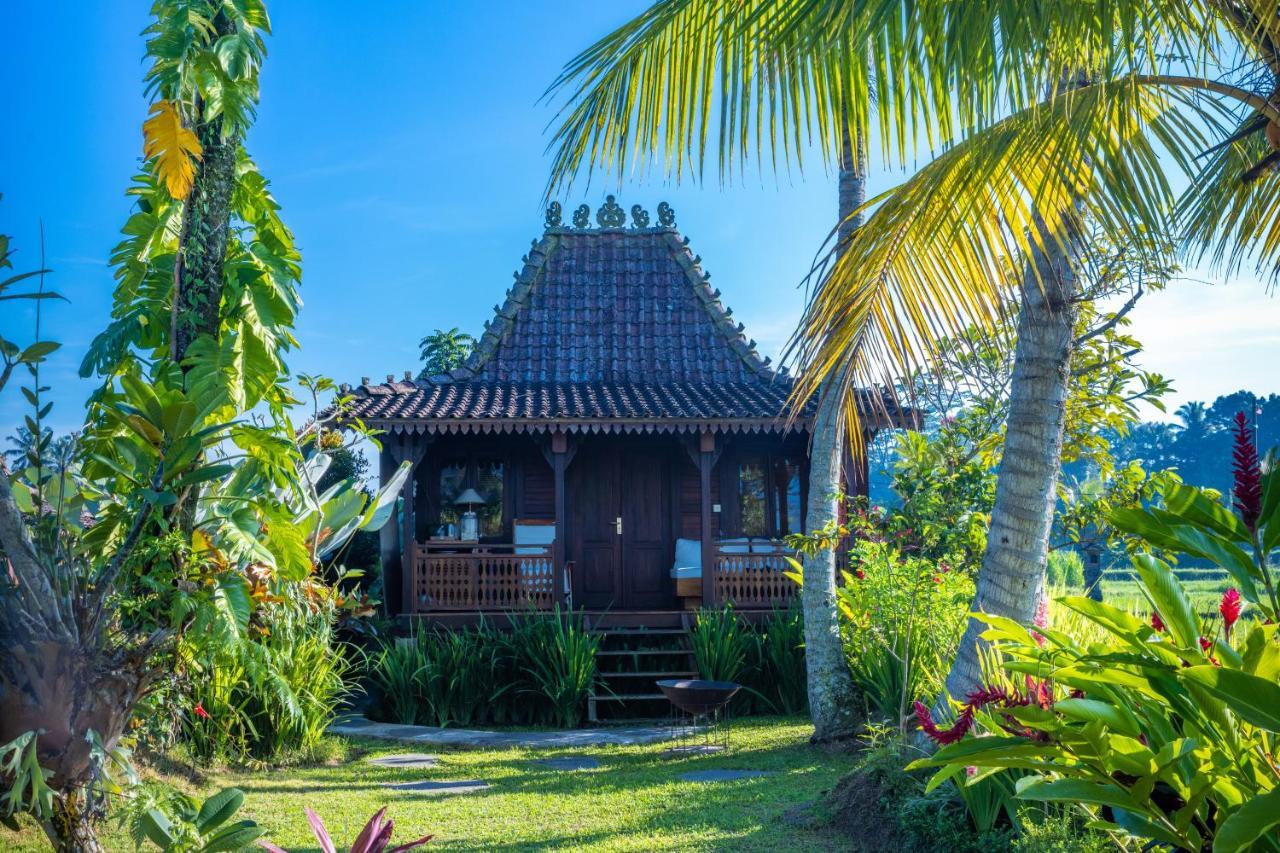 Villa Neyang Ubud  Ngoại thất bức ảnh