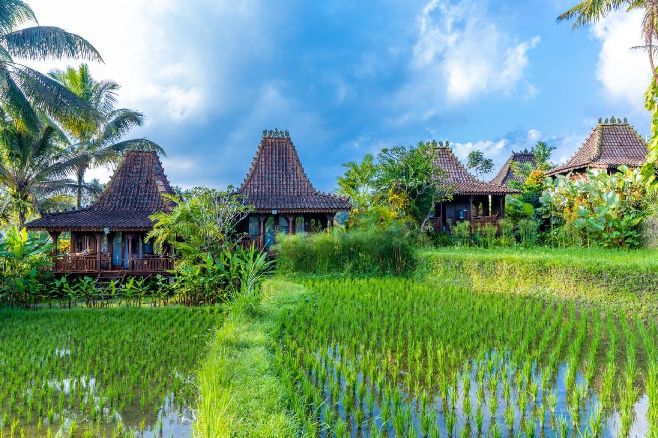 Villa Neyang Ubud  Ngoại thất bức ảnh