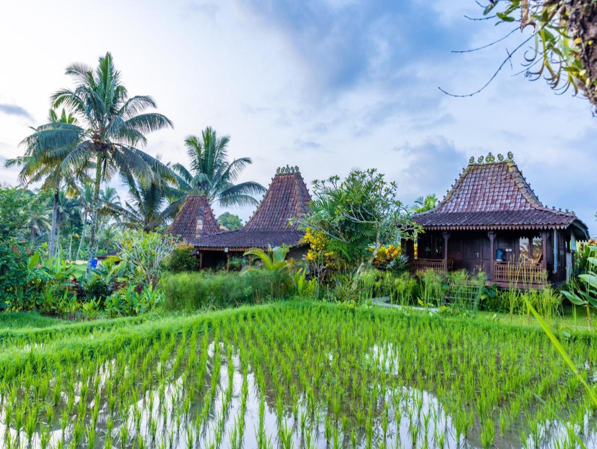 Villa Neyang Ubud  Ngoại thất bức ảnh