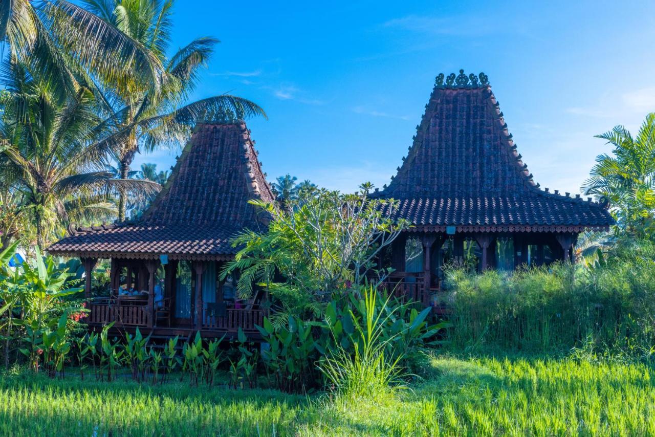 Villa Neyang Ubud  Ngoại thất bức ảnh
