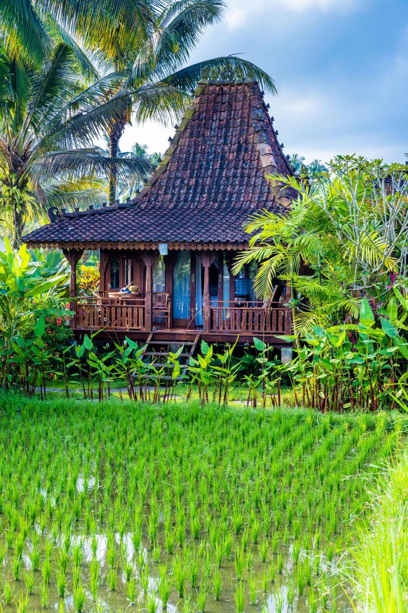 Villa Neyang Ubud  Ngoại thất bức ảnh
