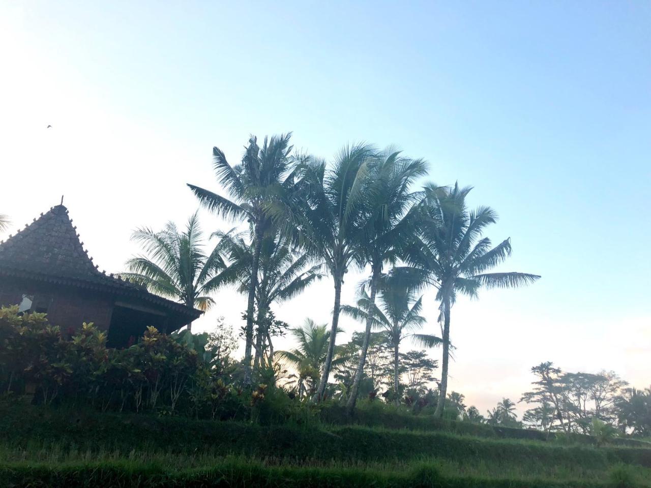 Villa Neyang Ubud  Ngoại thất bức ảnh