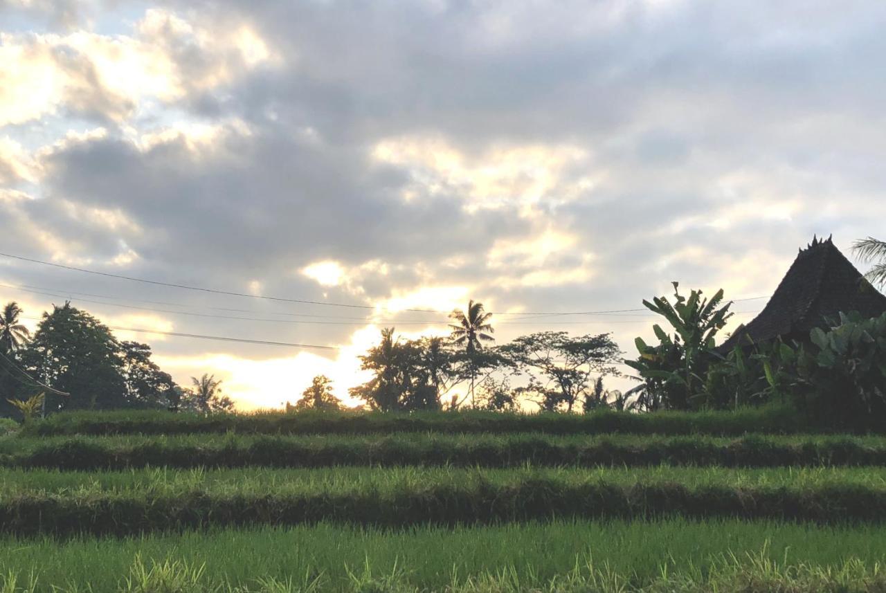 Villa Neyang Ubud  Ngoại thất bức ảnh