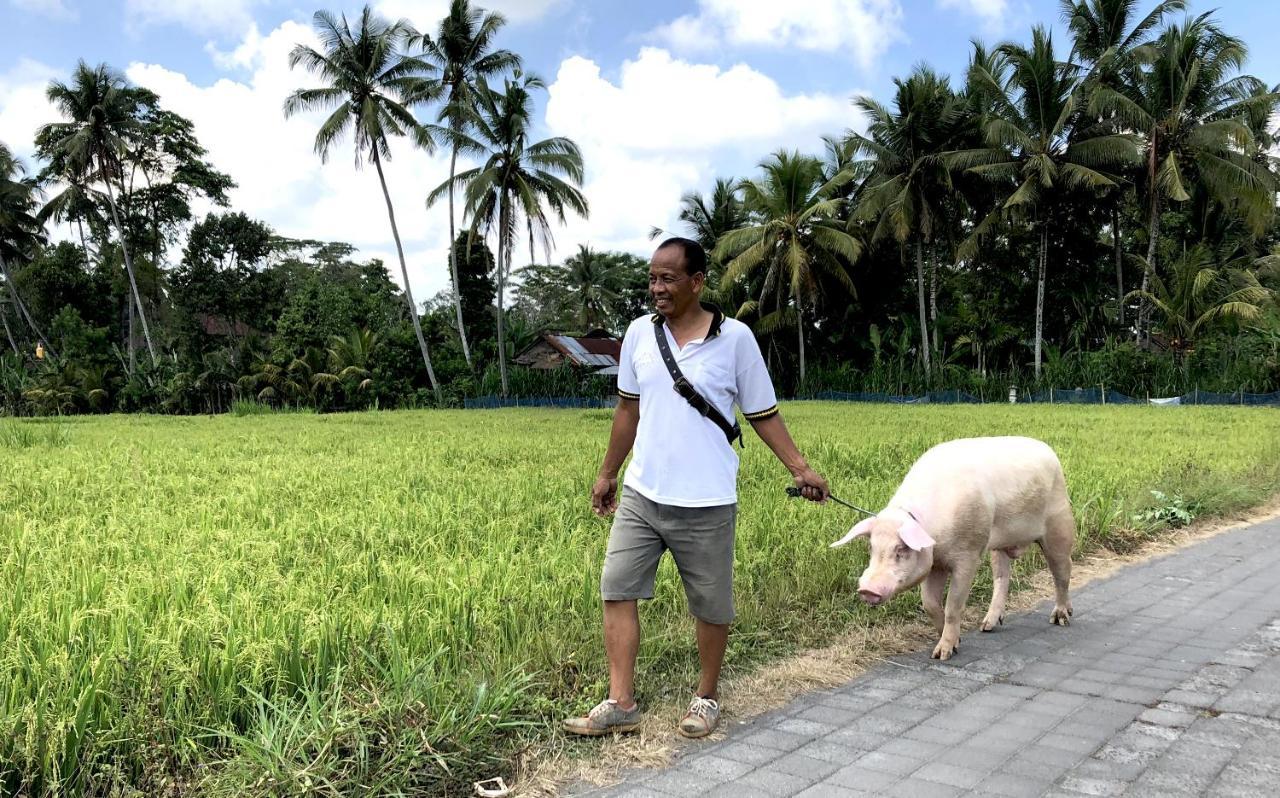 Villa Neyang Ubud  Ngoại thất bức ảnh