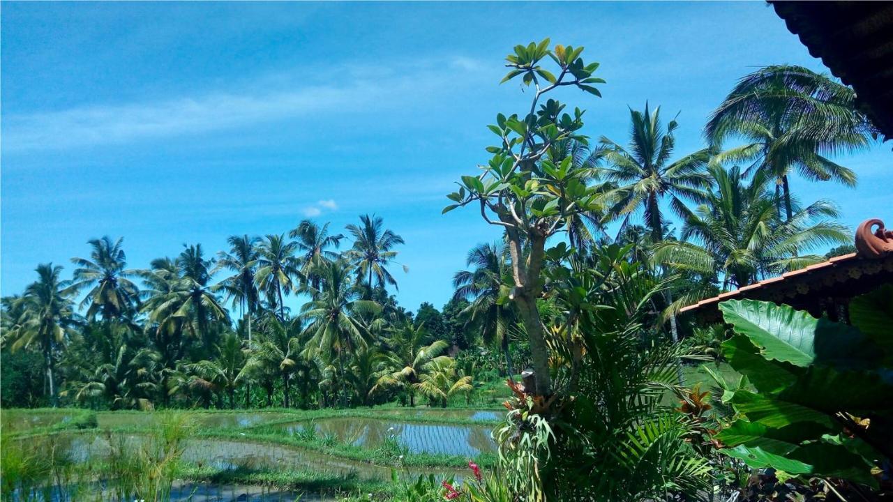 Villa Neyang Ubud  Ngoại thất bức ảnh