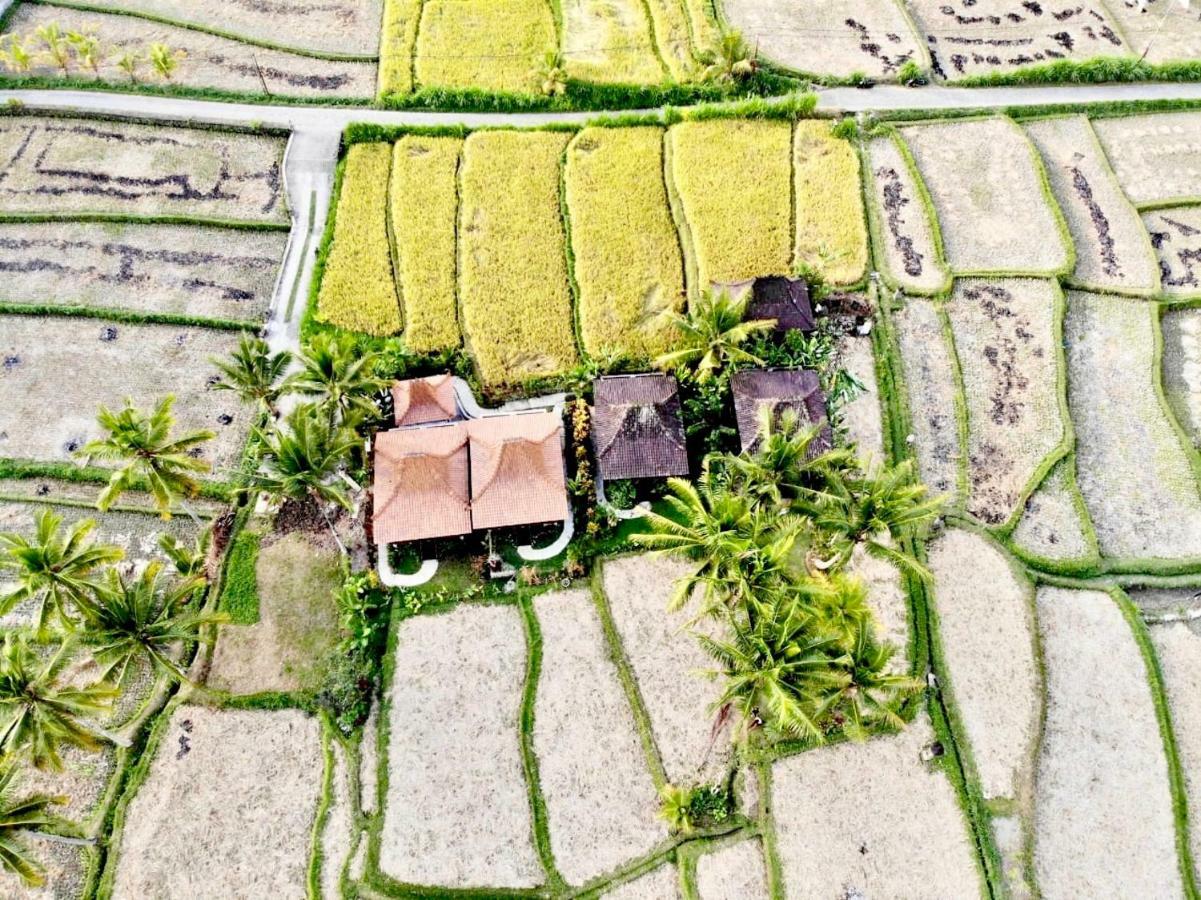 Villa Neyang Ubud  Ngoại thất bức ảnh