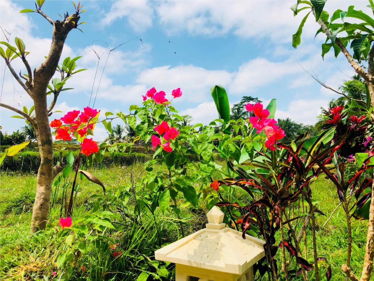 Villa Neyang Ubud  Ngoại thất bức ảnh